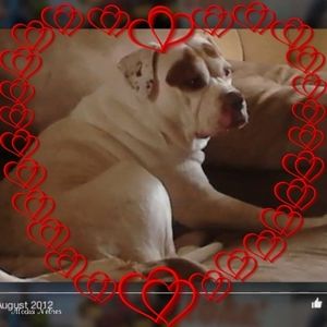 Meet your Posher, Dawn